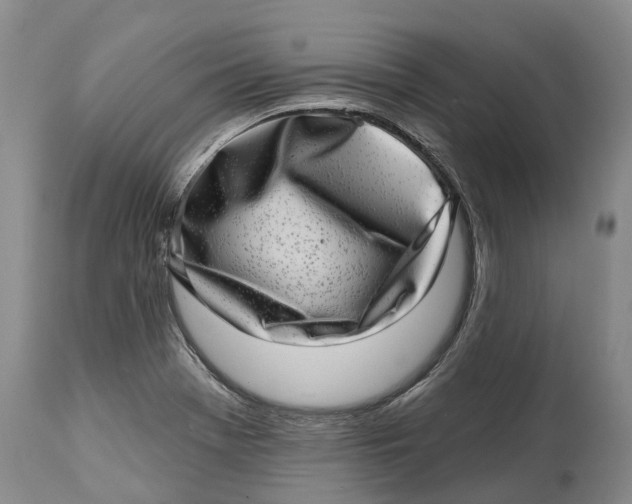 X0000115011369200911161550