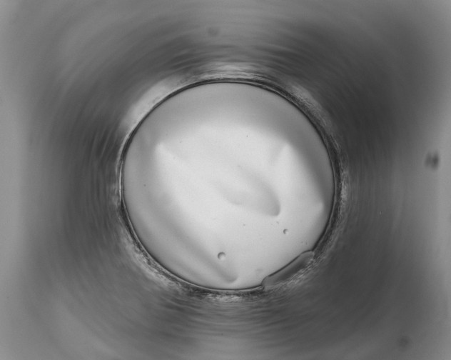 X0000115011370200911161550