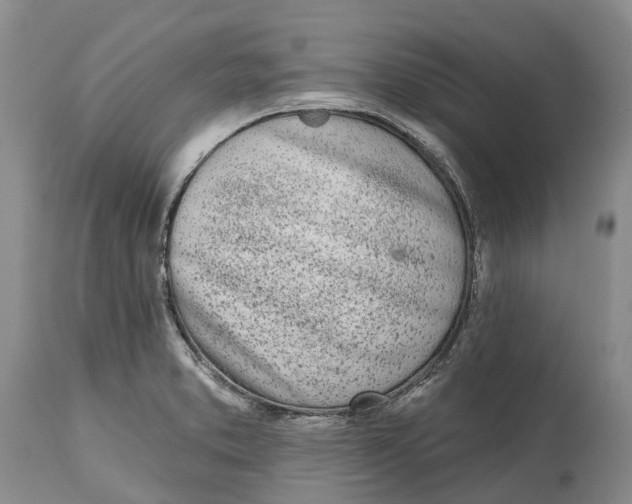 X0000115011373200911161550