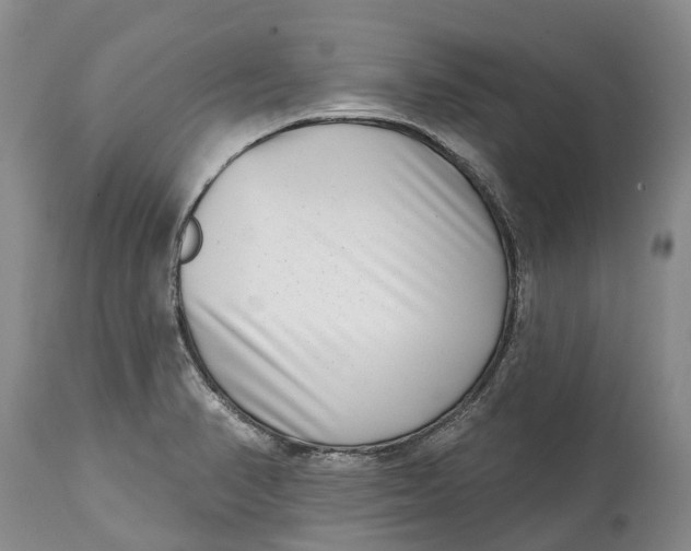 X0000115011374200911161550