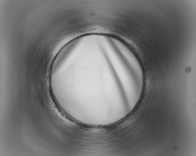 X0000115011375200911161550