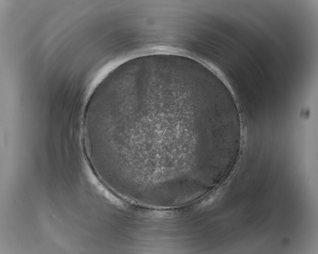 X0000115011381200911161550