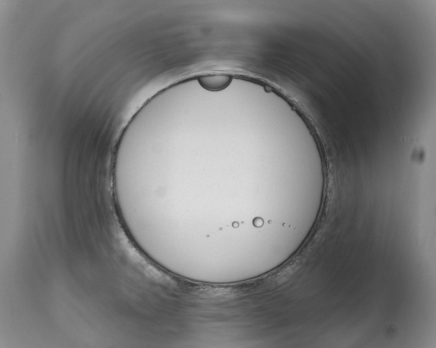 X0000115011382200911161550
