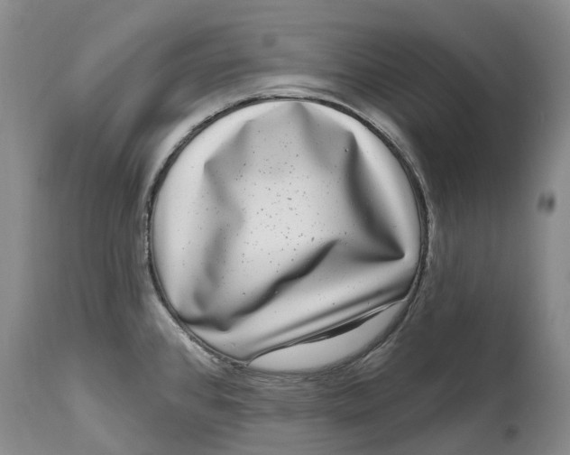 X0000115011384200911161550