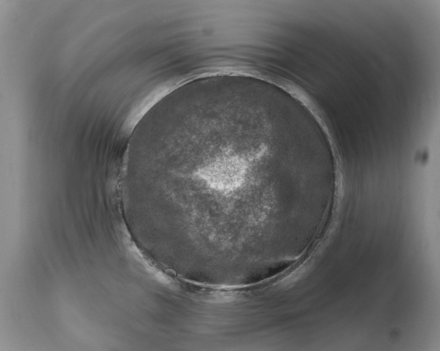 X0000115011385200911161550