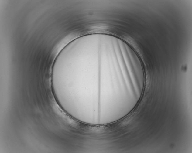 X0000115011386200911161550