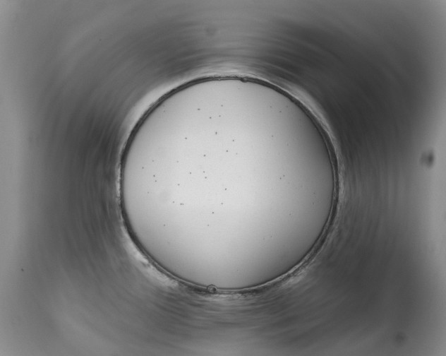 X0000115011388200911161550