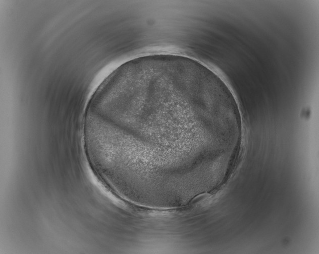 X0000115011389200911161550
