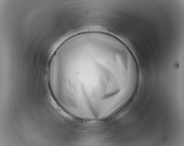 X0000115011390200911161550