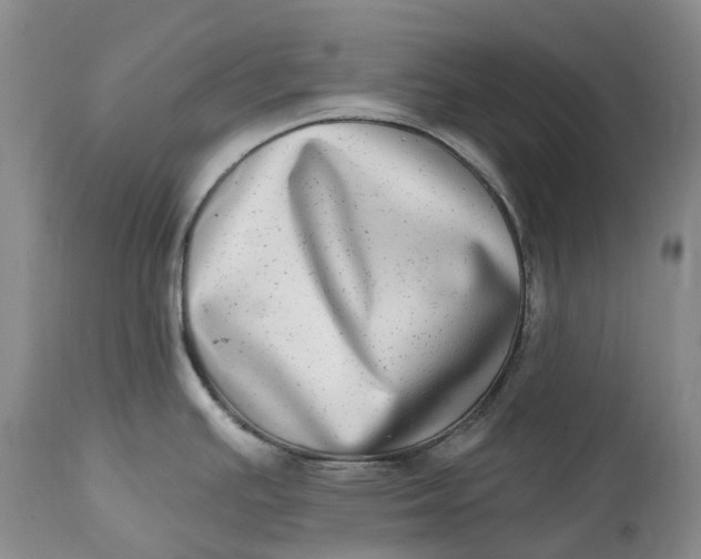 X0000115011391200911161550