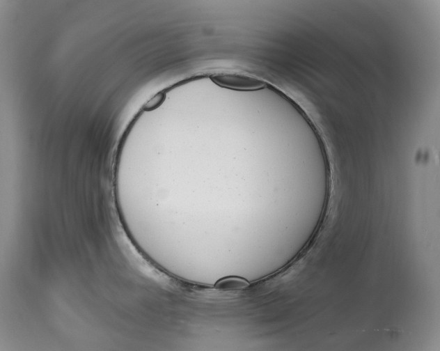 X0000115011392200911161550