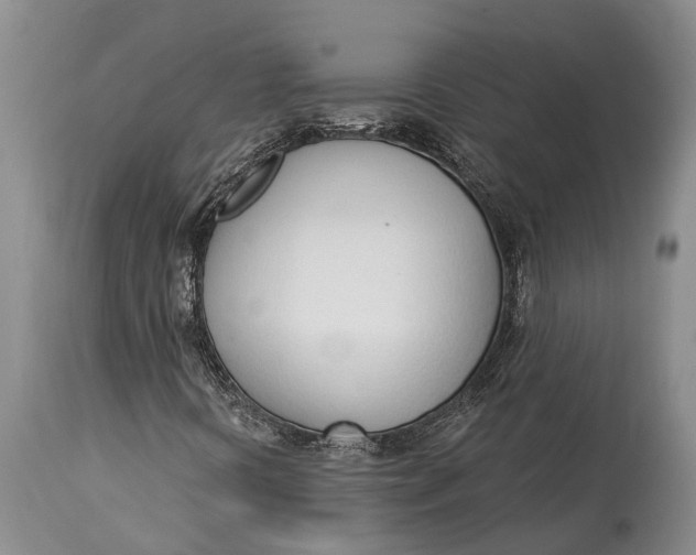 X0000115011394200911161549