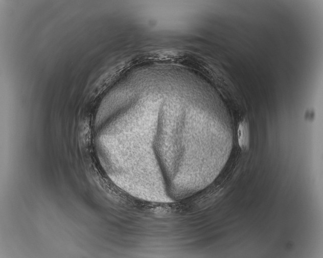 X0000115011395200911161549