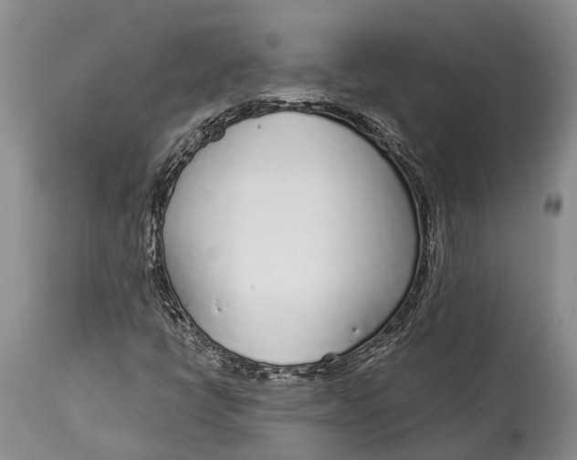 X0000115011398200911161549