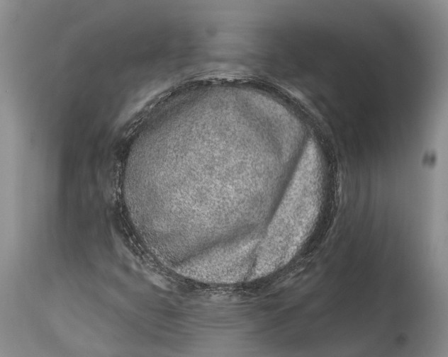 X0000115011399200911161549