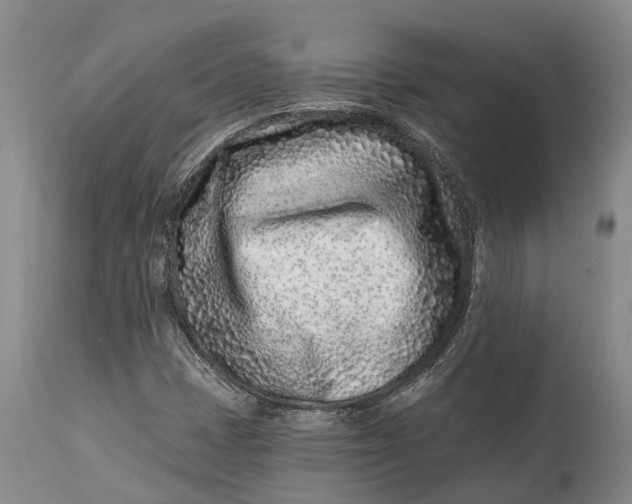 X0000115011401200911161549