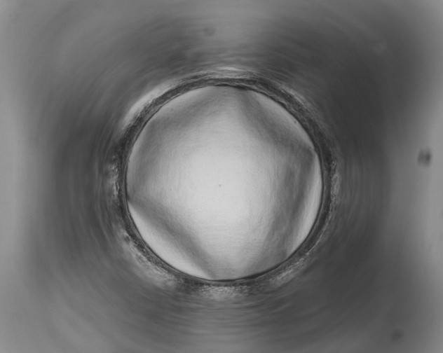 X0000115011402200911161549