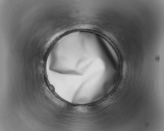 X0000115011404200911161549