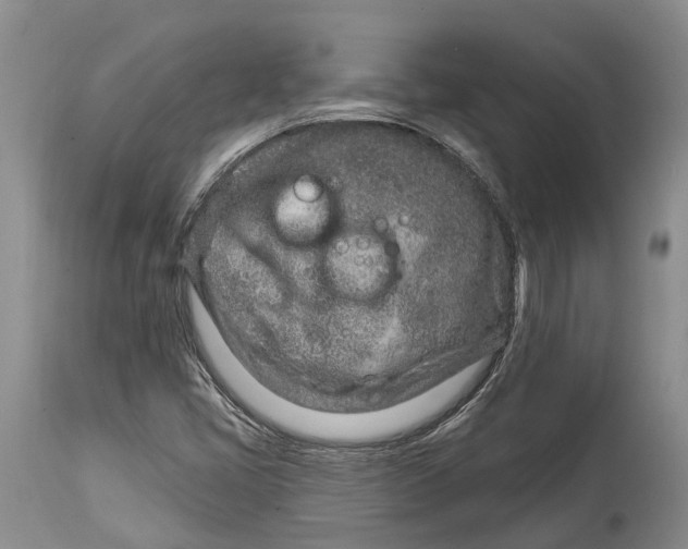X0000115011405200911161549