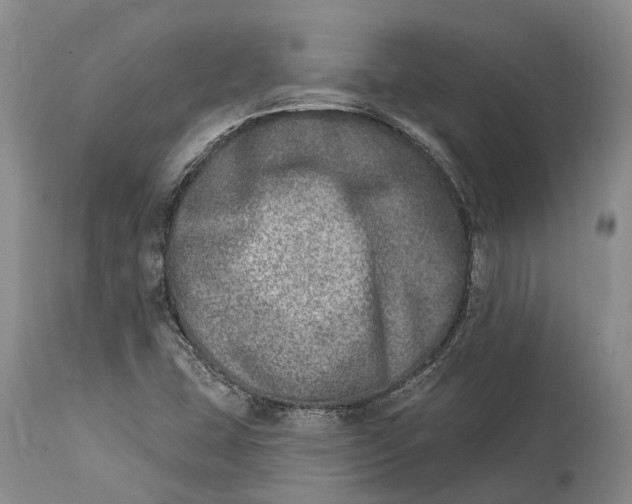 X0000115011407200911161549