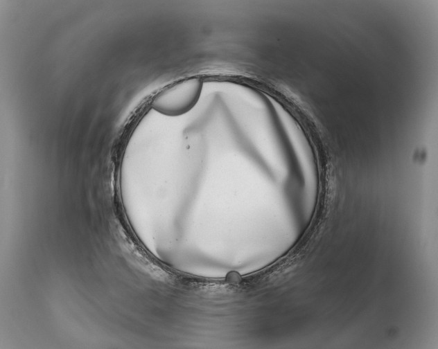 X0000115011408200911161549