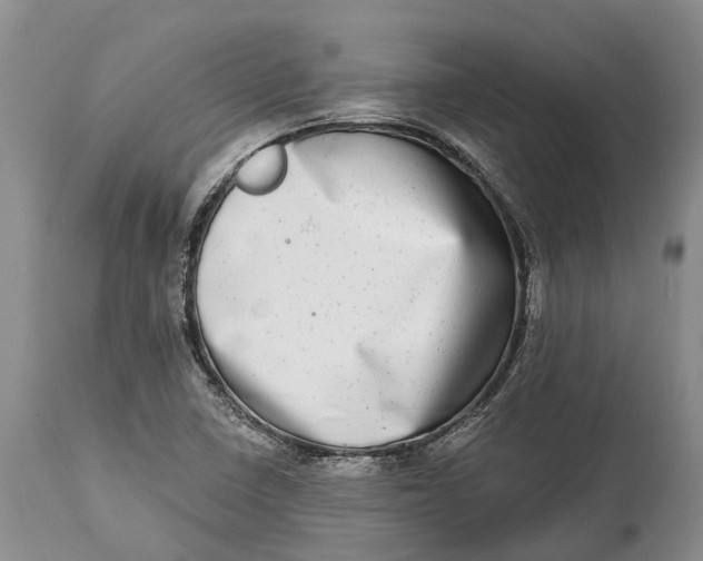 X0000115011410200911161549