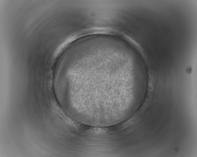 X0000115011411200911161549