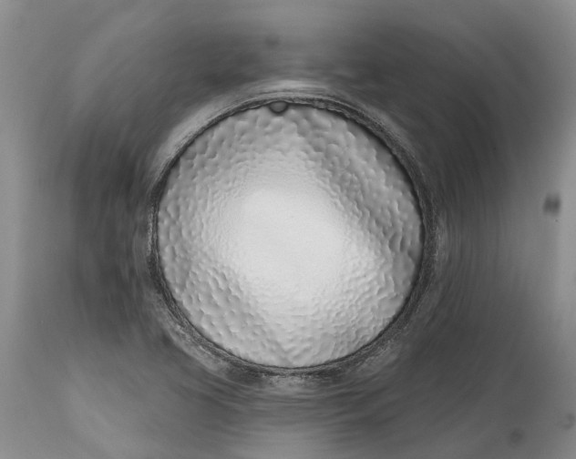 X0000115011413200911161549
