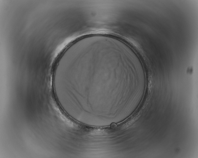 X0000115011414200911161549