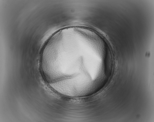 X0000115011415200911161549