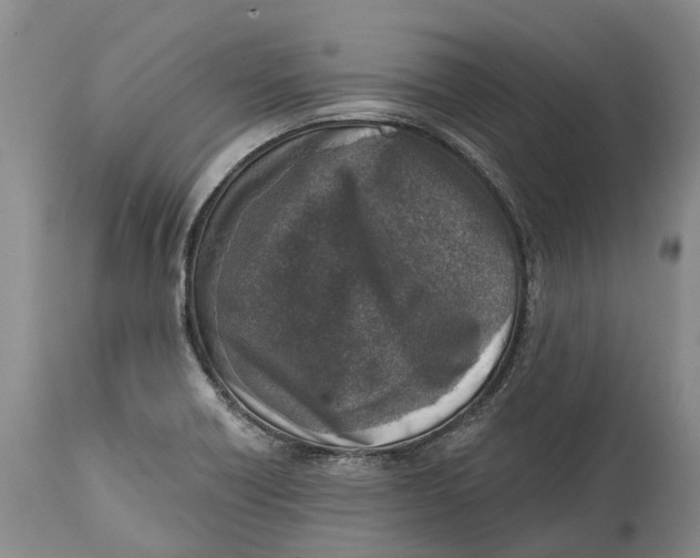X0000115011418200911161549