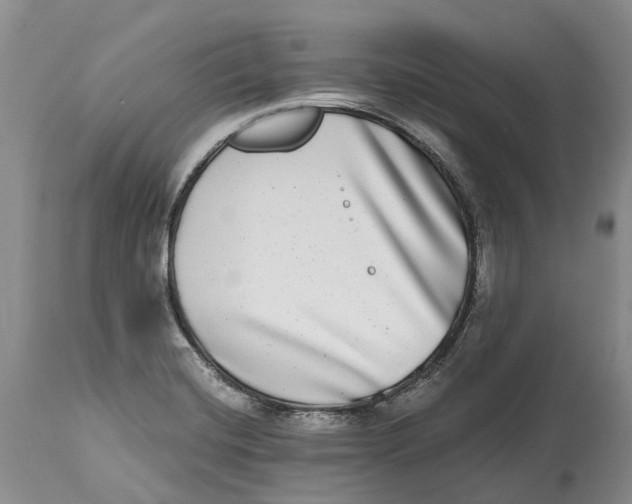 X0000115011420200911161549