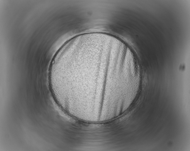 X0000115011423200911161550