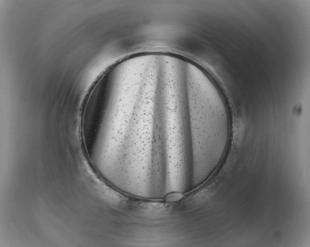 X0000115011424200911161550