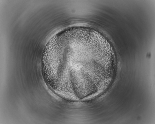 X0000115011425200911161550