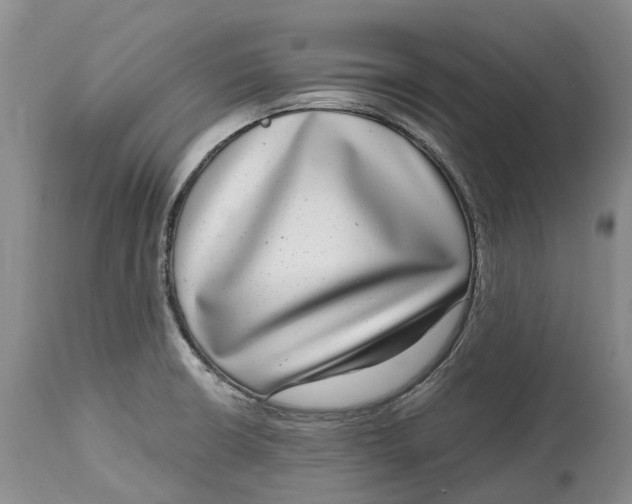 X0000115011426200911161550