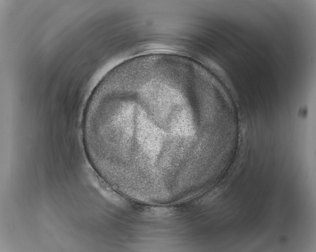 X0000115011427200911161550