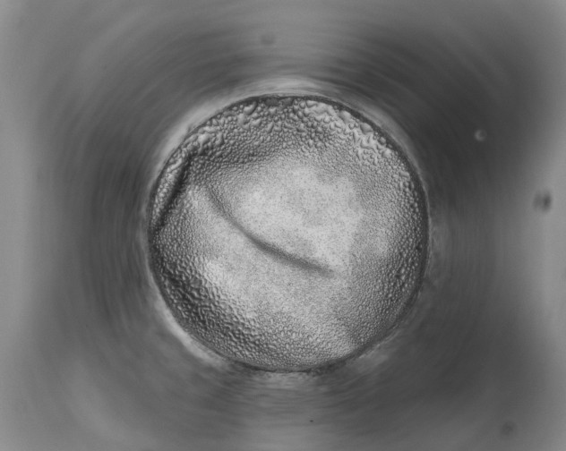 X0000115011429200911161550