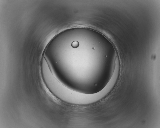 X0000115011431200911161550