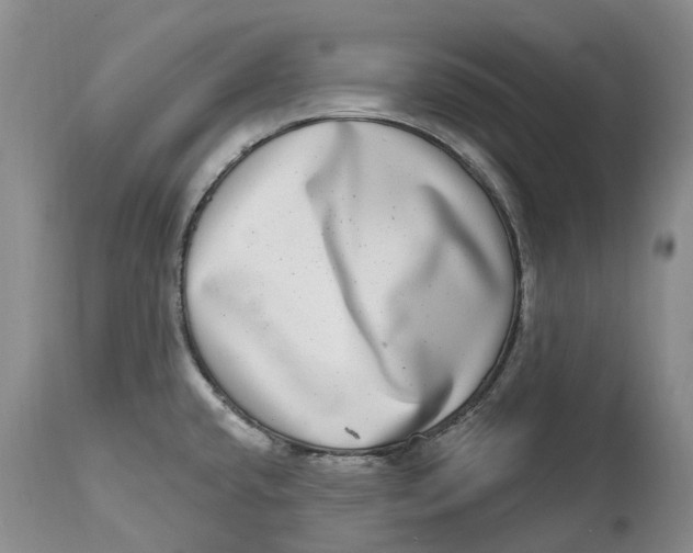 X0000115011432200911161550
