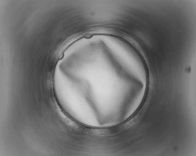 X0000115011433200911161550