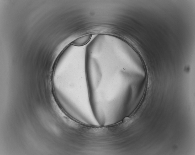 X0000115011434200911161550