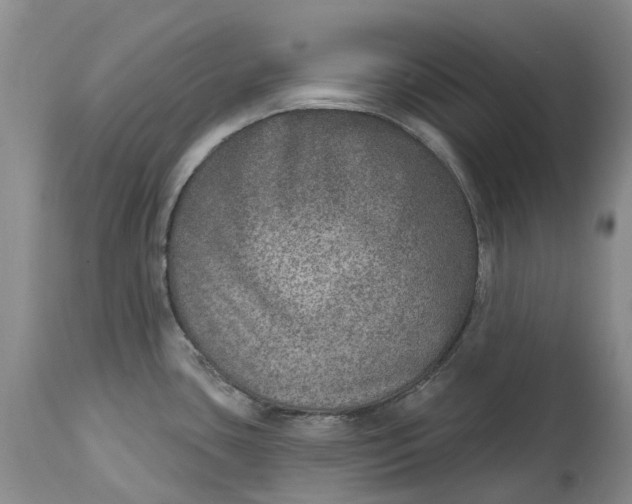 X0000115011435200911161550
