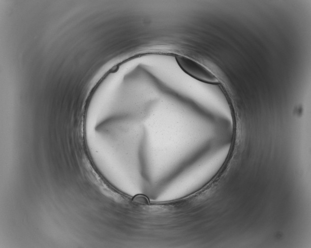 X0000115011436200911161550