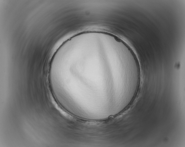 X0000115011437200911161550