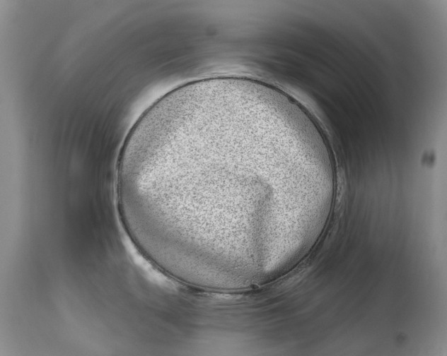 X0000115011439200911161550
