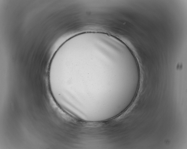 X0000115011440200911161550