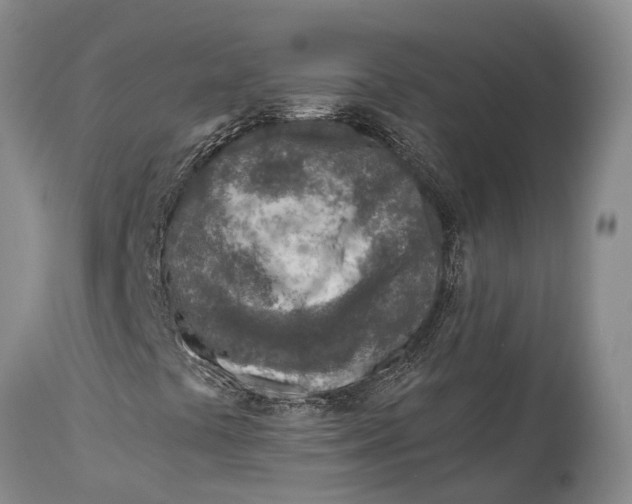 X0000115011441200911161549