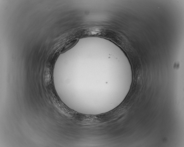 X0000115011442200911161549