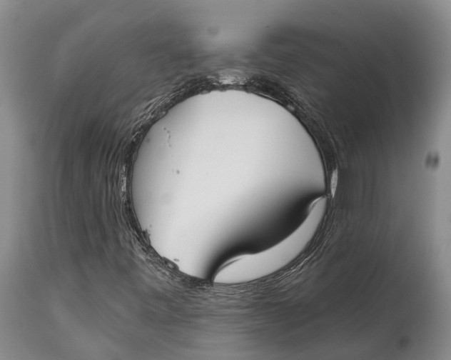 X0000115011443200911161549